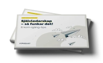 Guide: Självledarskap
