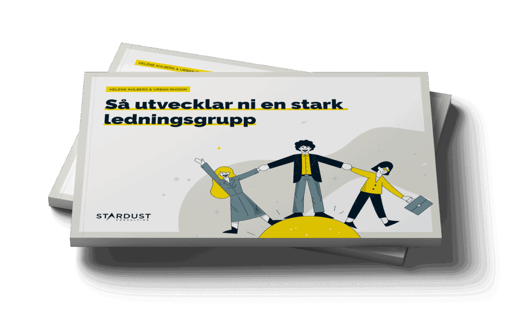 guide ledningsgruppsutveckling